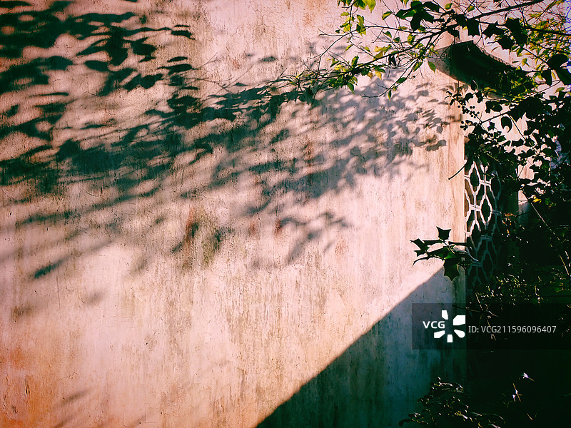 陶村 守拙园 安徽黟县2025图片素材