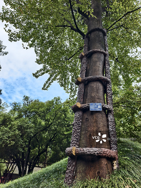 勉县武侯墓图片素材