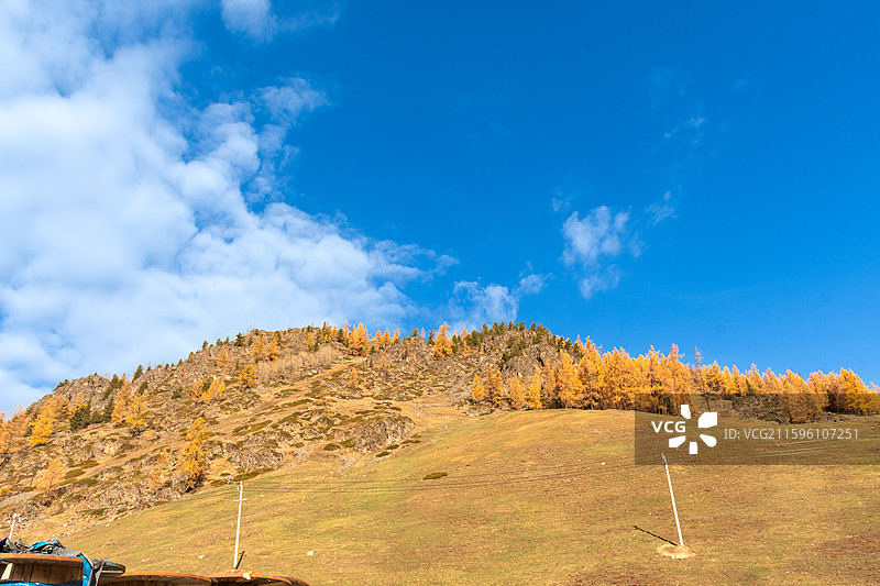 秋日北疆环线阿禾公路沿途风景金黄白桦树蓝天白云溪流河谷盘山公路图片素材