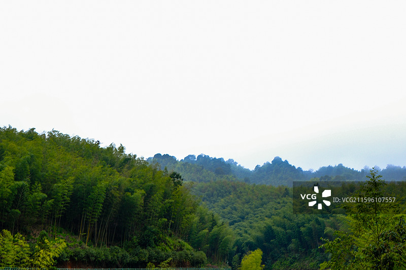 中国贵州遵义赤水竹海国家森林公园风光图片素材
