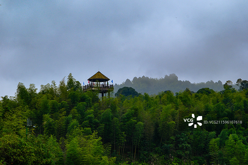 中国贵州遵义赤水竹海国家森林公园风光图片素材