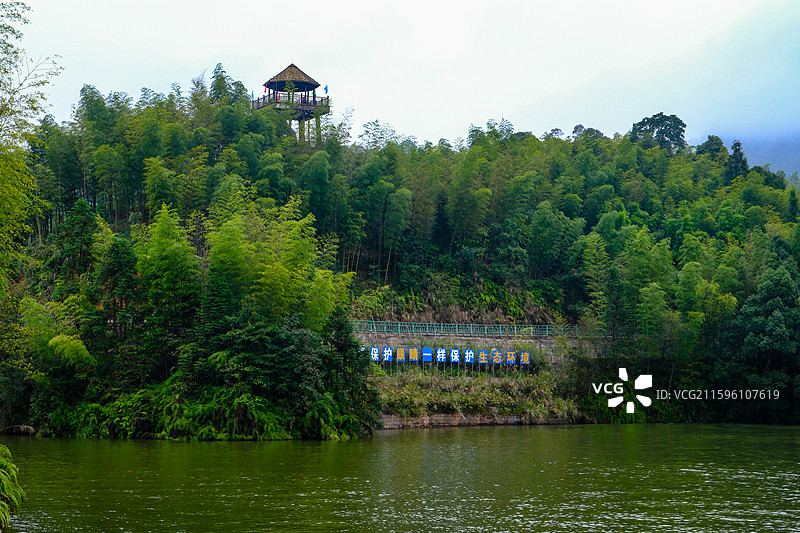 中国贵州遵义赤水竹海国家森林公园风光图片素材