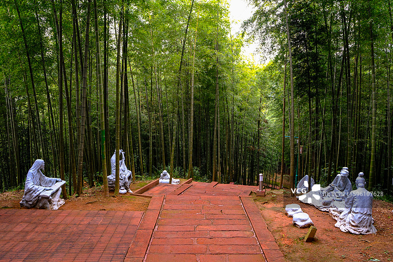 中国贵州遵义赤水竹海国家森林公园风光图片素材