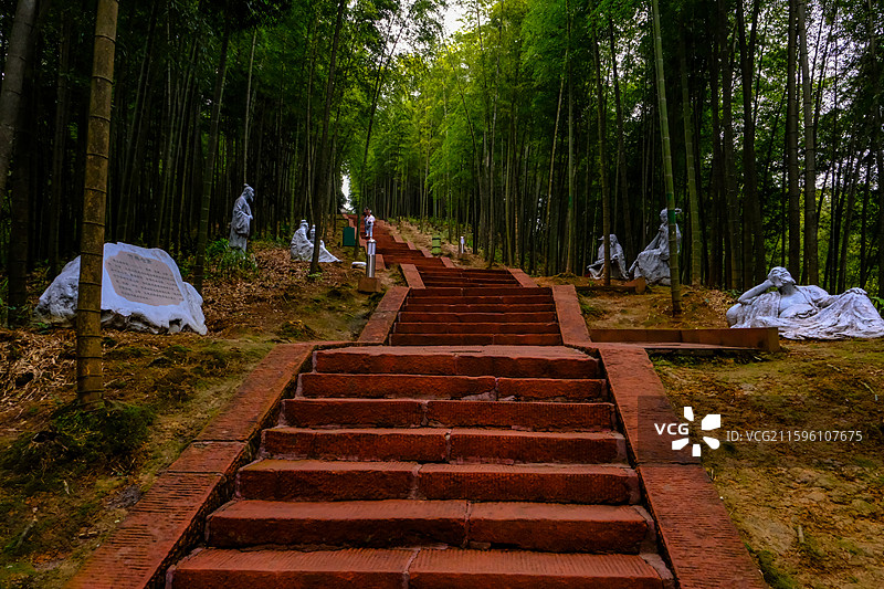 中国贵州遵义赤水竹海国家森林公园风光图片素材