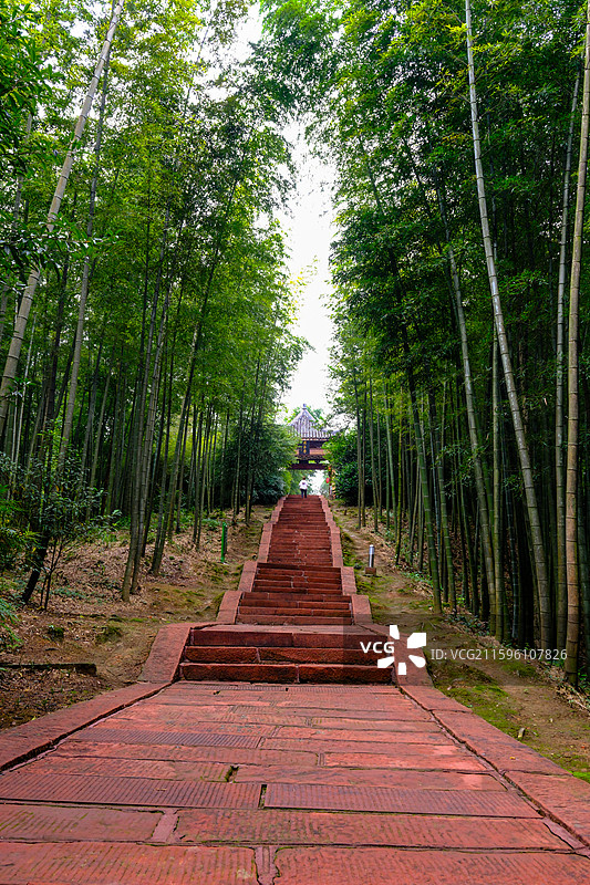 中国贵州遵义赤水竹海国家森林公园风光图片素材