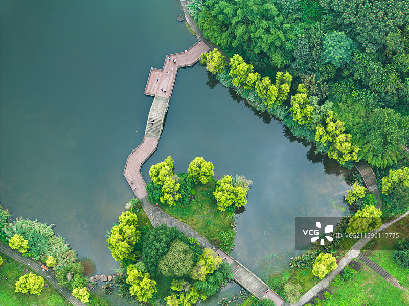 张坝桂圆林公园 泸州张坝桂圆林旅游区图片素材