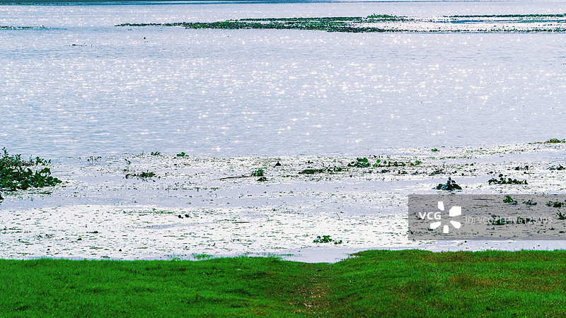 金湖起点公园十月秋天骑行中途休息拍摄到柳树湾湿地的不同视角的水景图片素材