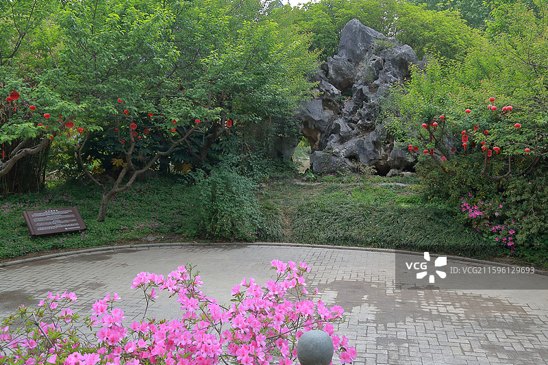 镇江南山文苑亿年乾坤石与杜鹃花图片素材