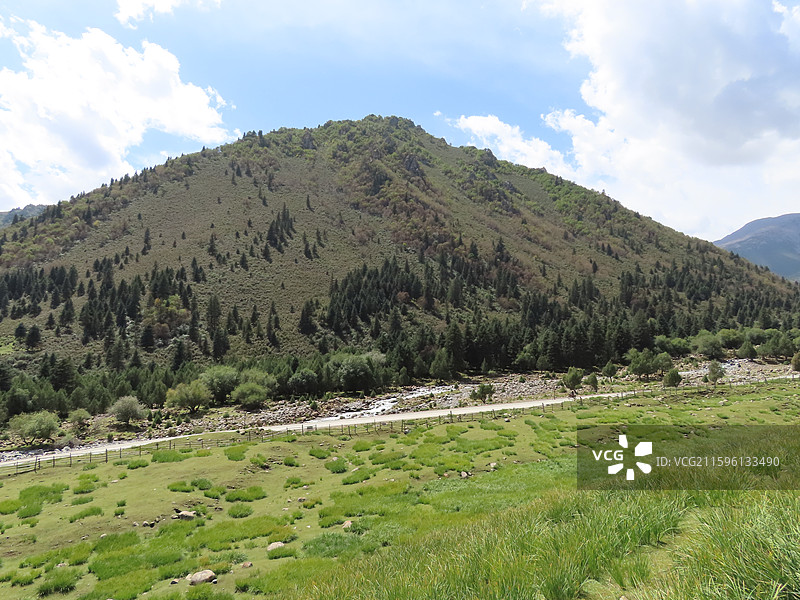 甘肃武威天祝祁连山冰沟河景区 马兰花大草原图片素材