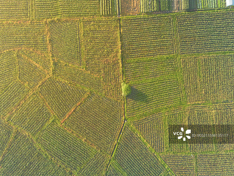 航拍萍乡芦溪县银河镇陇田村村落田园风光图片素材