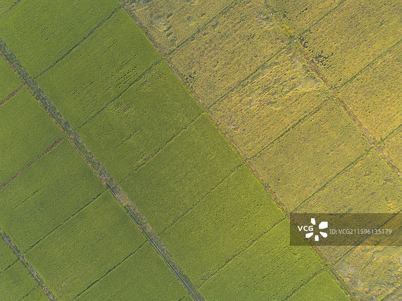 航拍萍乡芦溪县银河镇陇田村村落田园风光图片素材