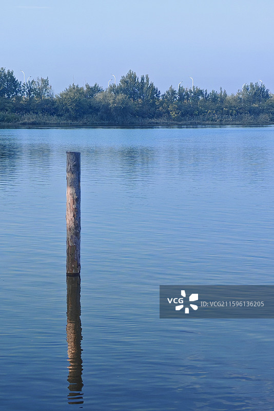 湖面中的木桩与倒影图片素材