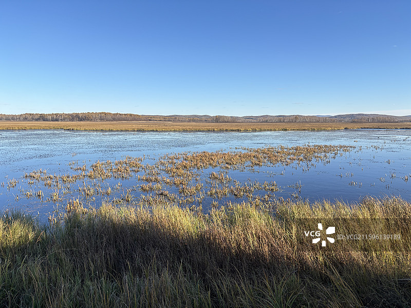新青国家湿地公园,湿地宣教馆,白头鹤,科普教育,研学实践,实物标本,数字技术,声光电,观鸟台图片素材