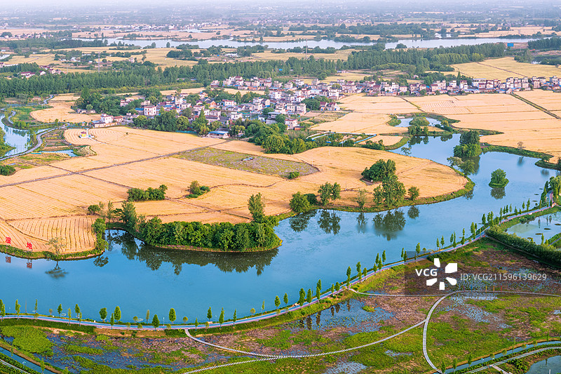 芜湖三湖一坝湿地图片素材