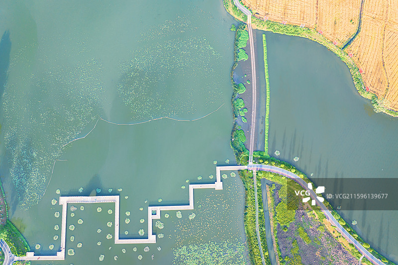 芜湖三湖一坝湿地图片素材