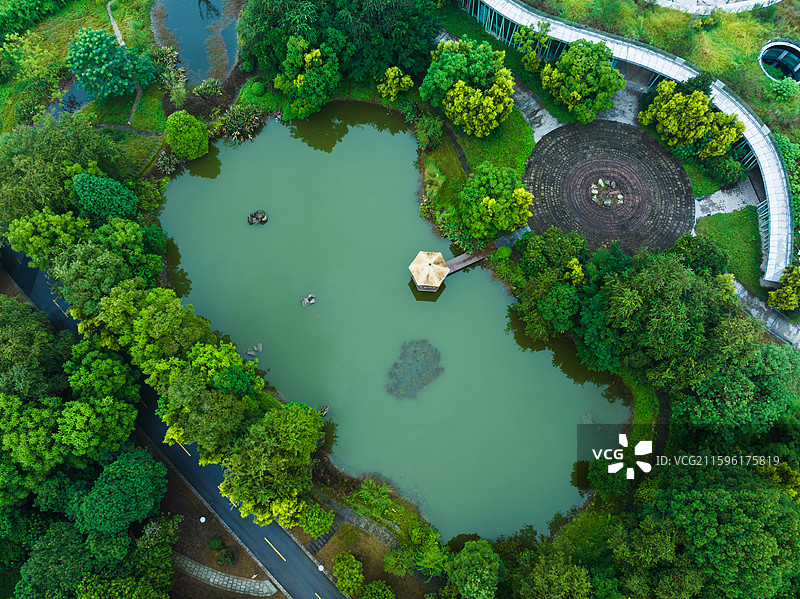 泸州张坝桂圆林公园湖景图片素材