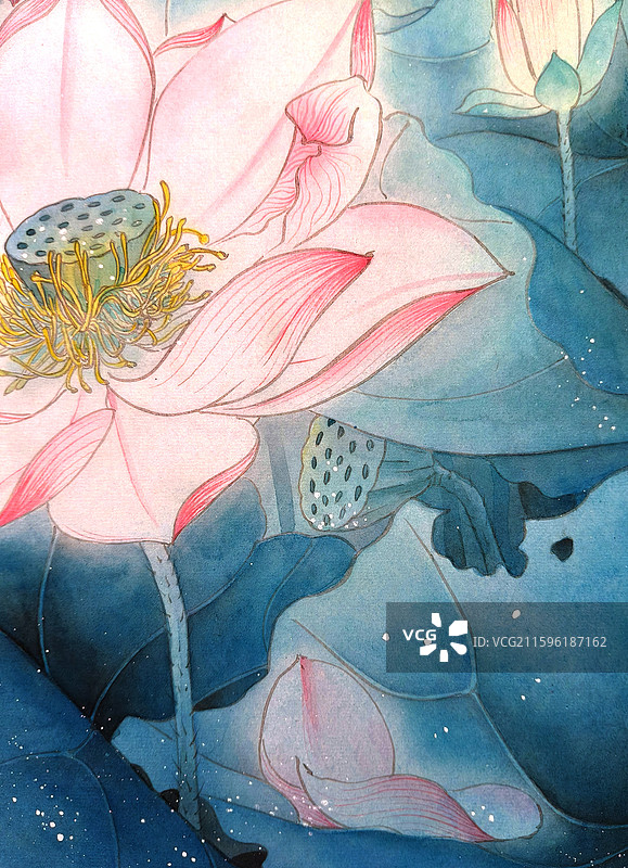中国画工笔画中式国画荷花插画粉色梦幻意境图片素材