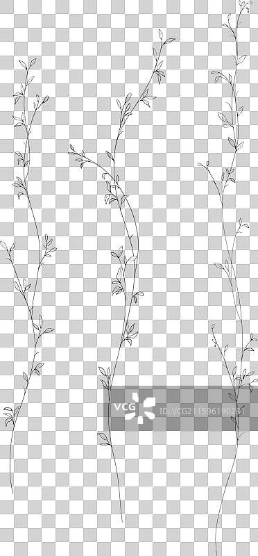 手持一束小巧的植物叶子和树枝图片素材