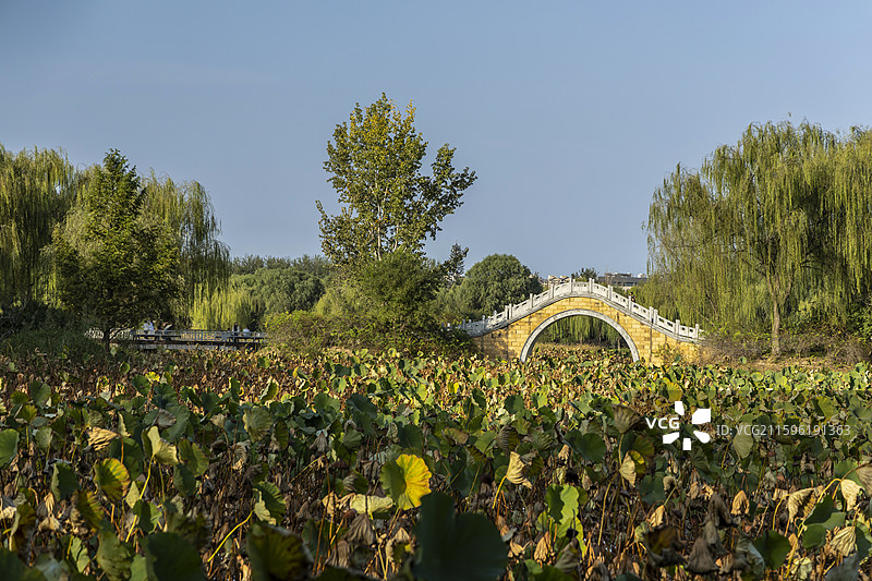 北京通州大运河森林公园：揽月桥图片素材