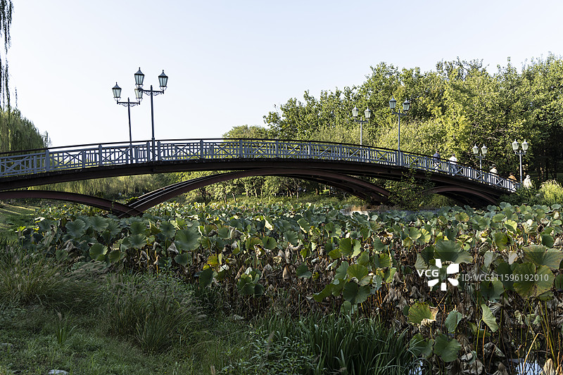 北京通州大运河森林公园：映月桥图片素材