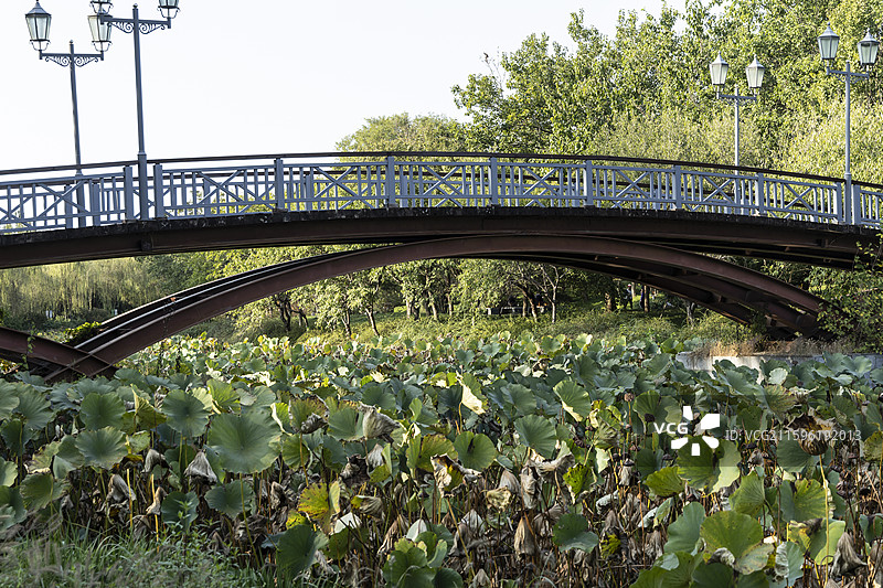 北京通州大运河森林公园：映月桥图片素材