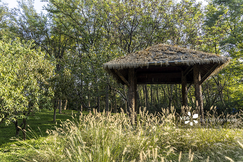 北京通州大运河森林公园：茅草屋图片素材