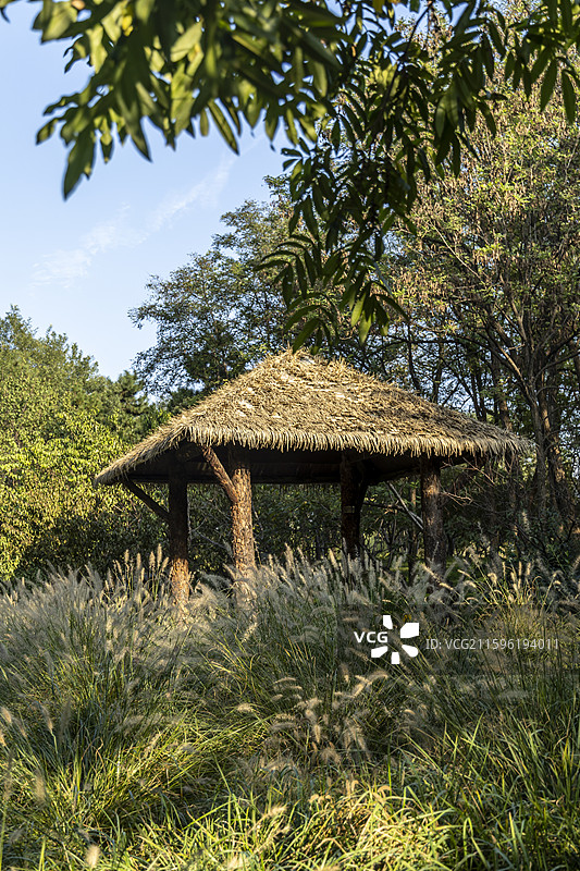 北京通州大运河森林公园：茅草屋图片素材