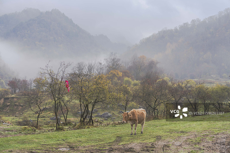 汉中情人谷清晨图片素材