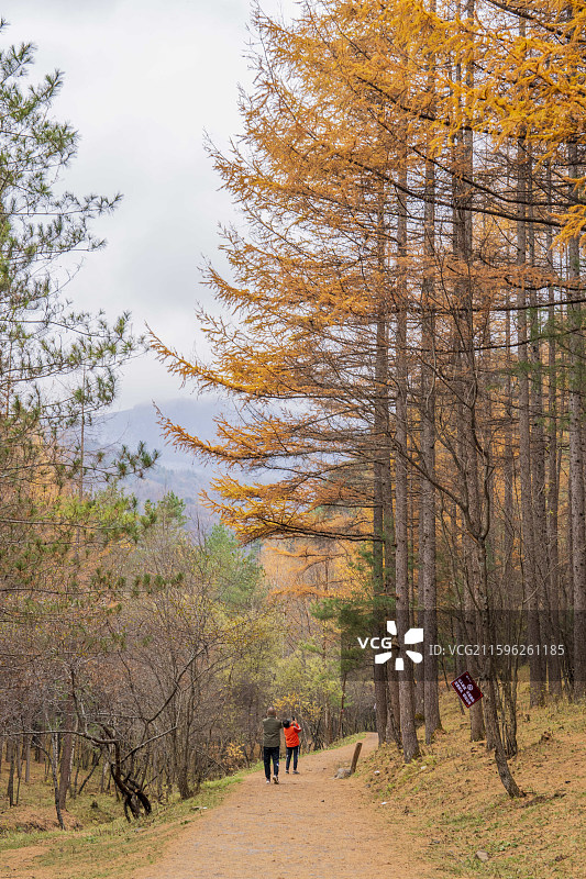 汉中情人谷秋景图片素材