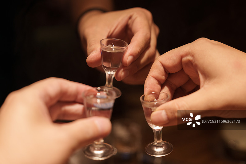 举杯共饮 商务宴请场景图片素材