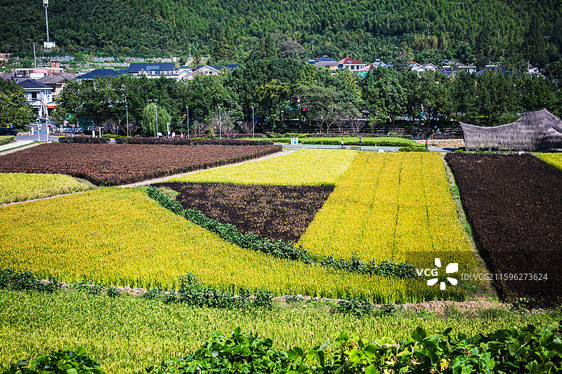 浙江湖州安吉余村风景图片素材