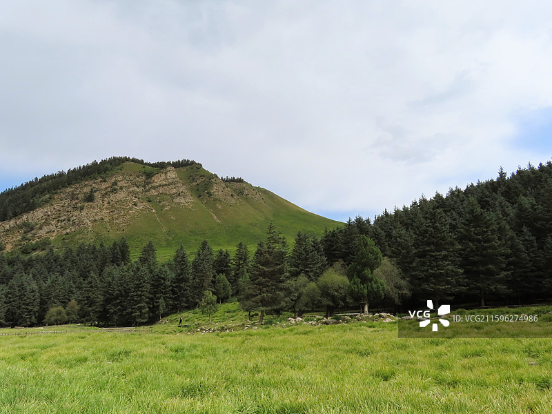 甘肃武威祁连山冰沟河 高原 林场 草原图片素材