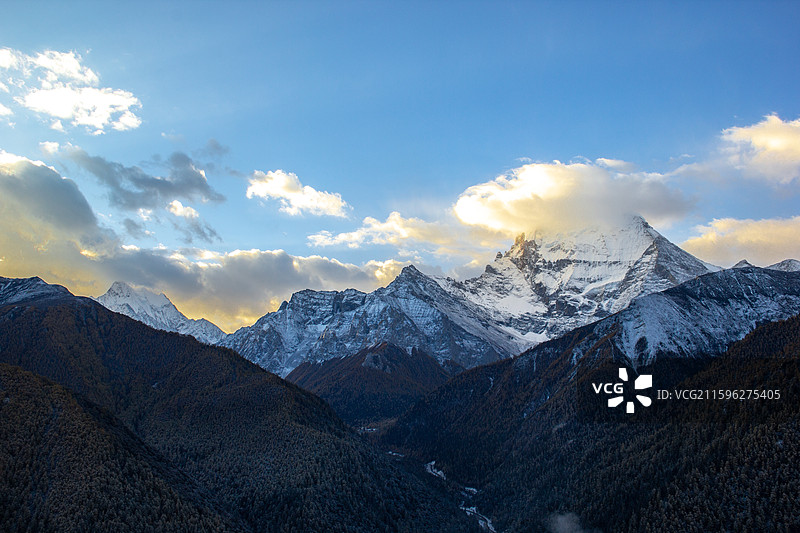 四川甘孜稻城亚丁 被云遮蔽的神山雪山仙乃日 山坡落叶松森林图片素材