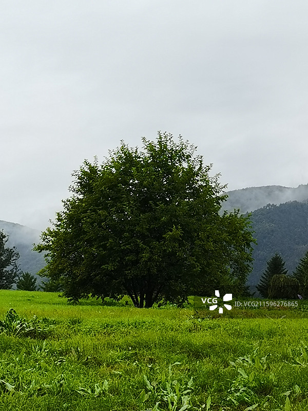 集安高句丽文物古迹旅游景区——好太王陵景区图片素材