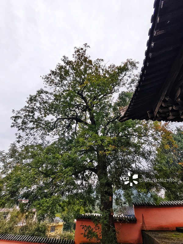 阆中五龙庙（元代） 第五批全国重点文物图片素材