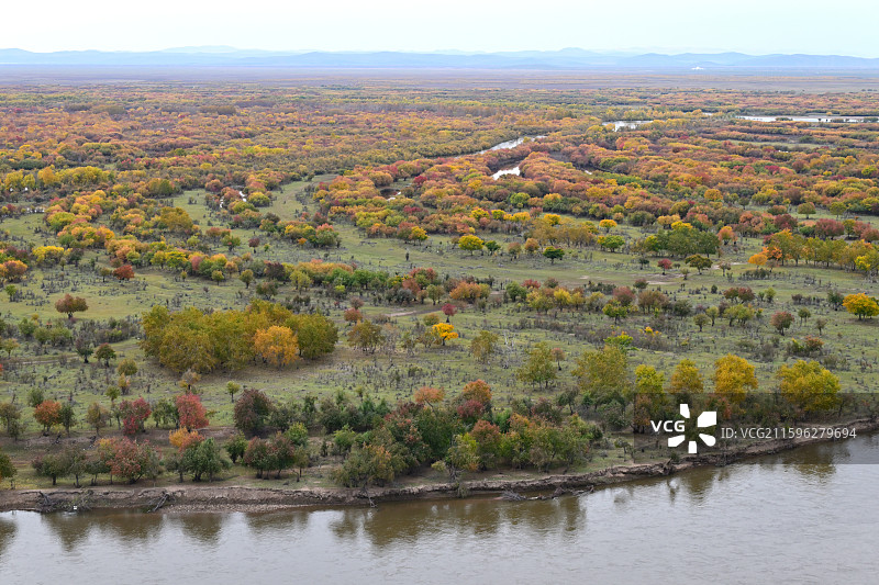 黑山头的额尔古纳湿地，秋日美景，油画世界，内蒙古呼伦贝尔图片素材