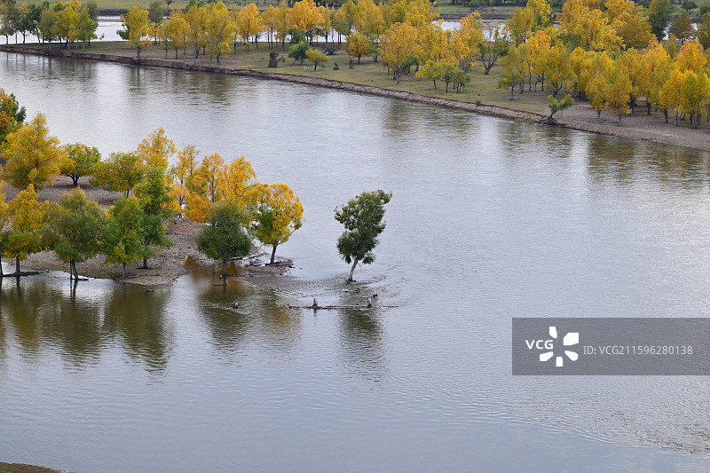 黑山头的额尔古纳湿地，秋日美景，油画世界，内蒙古呼伦贝尔图片素材