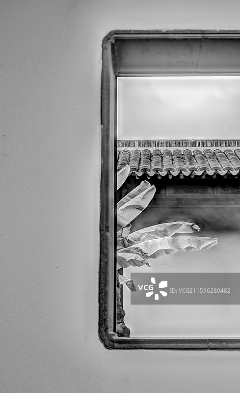 无锡薛福成故居中的芭蕉图片素材