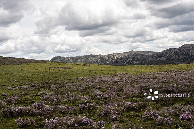 四川甘孜理塘夏日风光图片素材