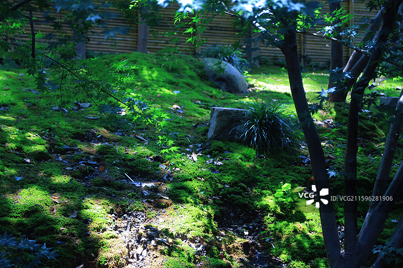 天堂杭州西湖风景名胜区灵隐景区上天竺法相素食餐厅琉璃光院图片素材