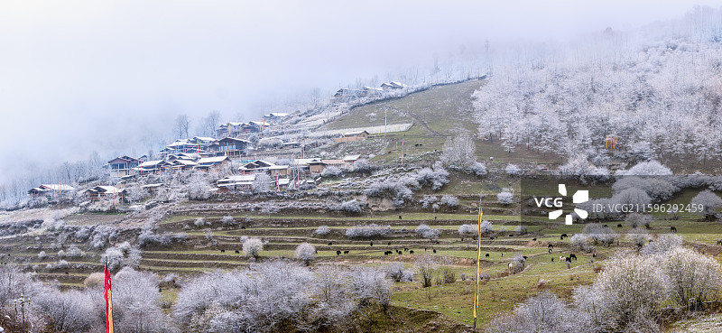 中查沟雪霁清晨·四川阿垻图片素材