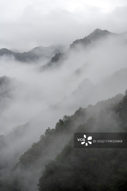湖北神农架林区雾气山林山峦绿色原始森林仙境自然风光图片素材