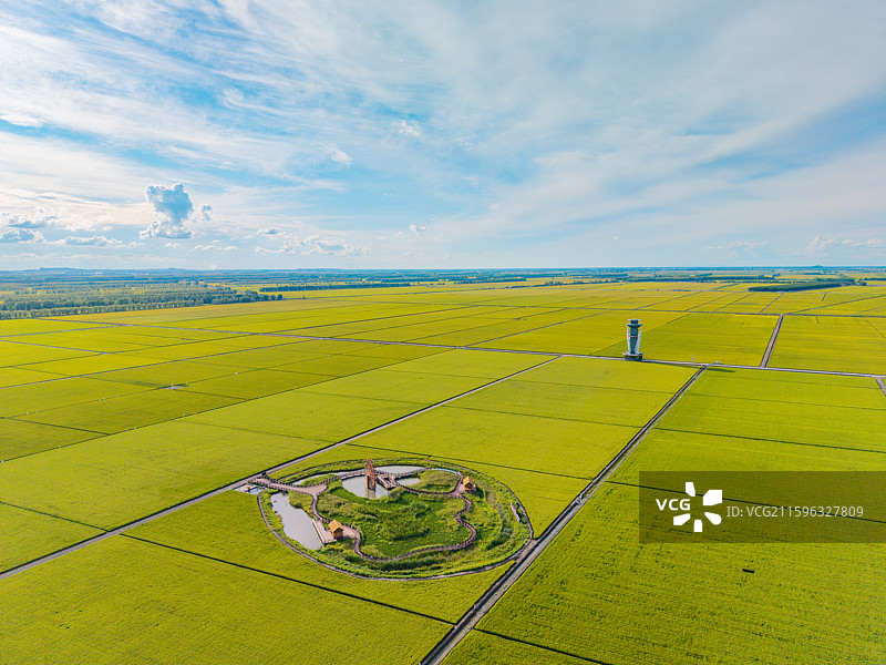 中国黑龙江省佳木斯市富锦市建三江垦区北大荒三江平原东北大米稻田高视角航拍图图片素材