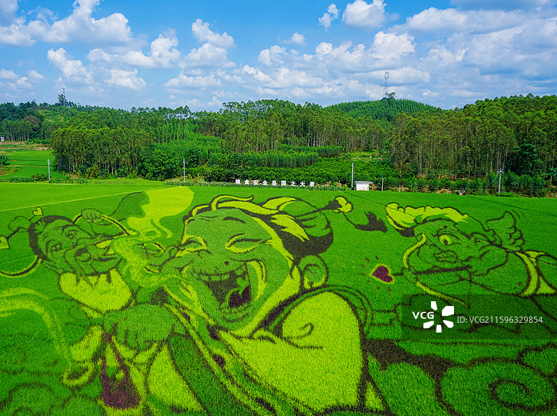 古辣稻田艺术景区图片素材
