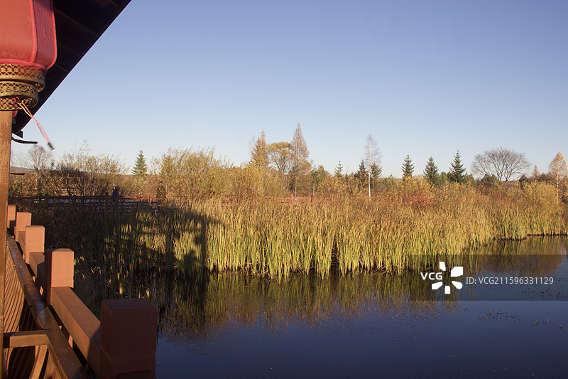 湿地 公园 伊春 小兴安岭 新青国家湿地公园图片素材