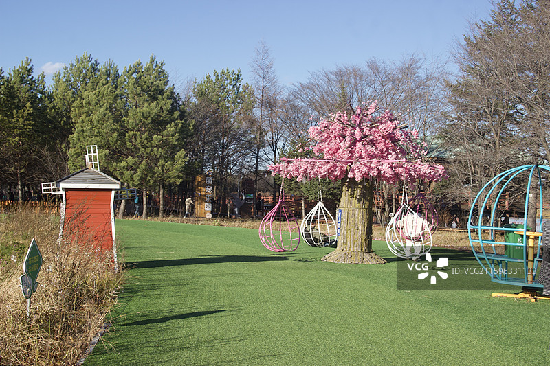 湿地 公园 伊春 小兴安岭 新青国家湿地公园图片素材