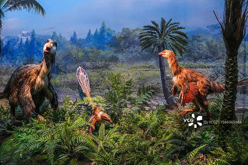 始祖鸟复原模型恐龙模型史前生态场景图片素材