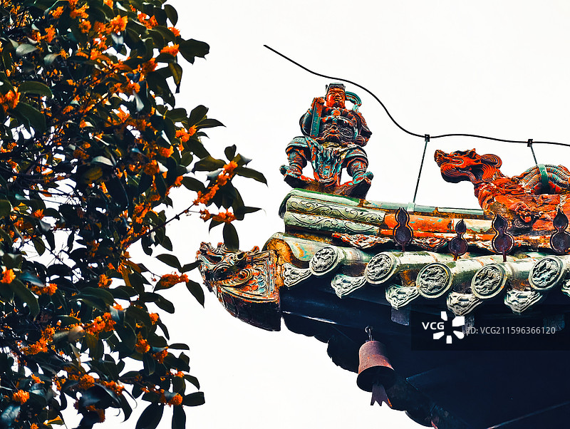 安徽亳州花戏楼与桂花同框图片素材