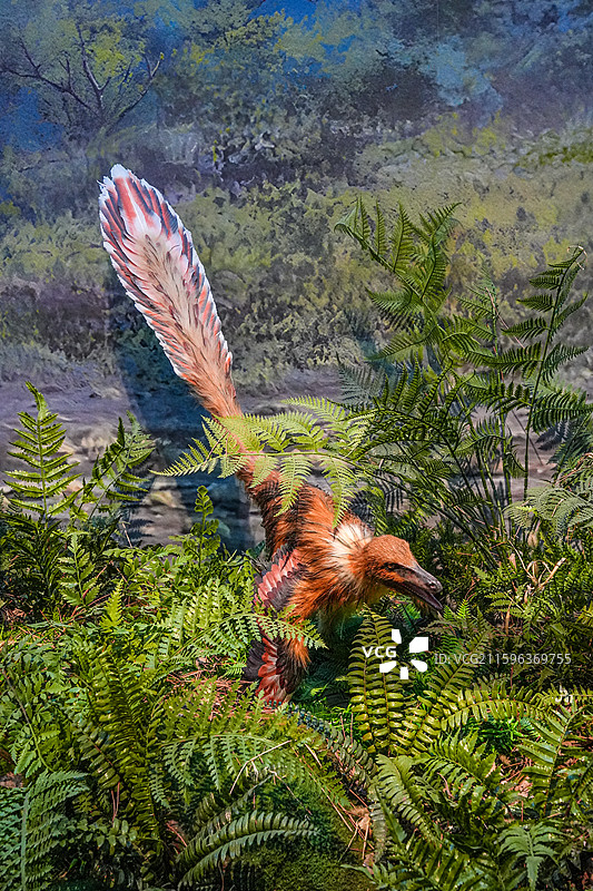 始祖鸟复原模型恐龙模型史前生态场景图片素材