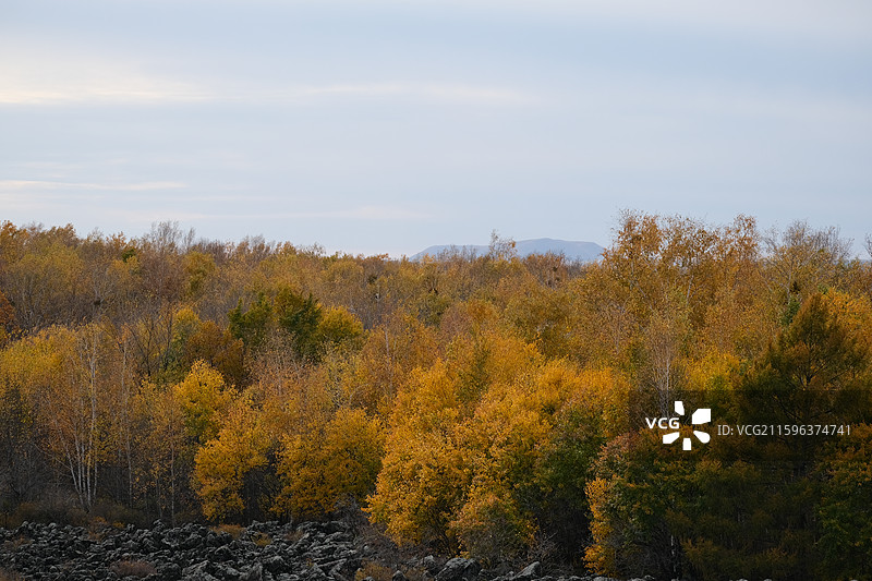 五大莲池龙门石寨图片素材